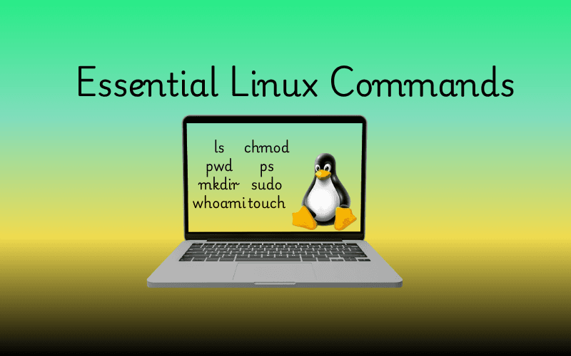 Introduction to Essential Linux Commands for Beginners and Intermediate Users